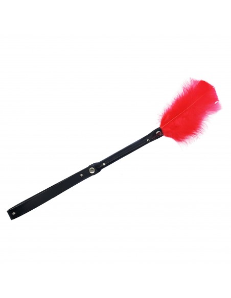 PLUMA ERÓTICA