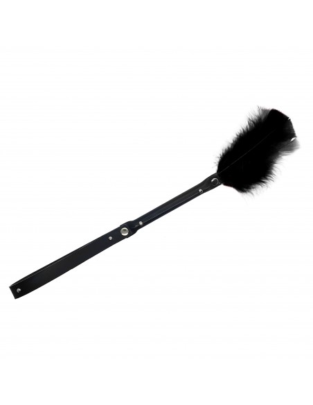 PLUMA ERÓTICA
