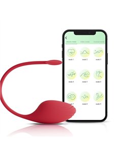 VIBRADOR SUCCUBUS  -  USB + APP