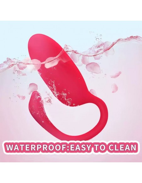 VIBRADOR FLAMENCO  CON APP + USB