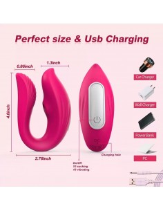 VIBRADOR SUCCIONADOR... 2