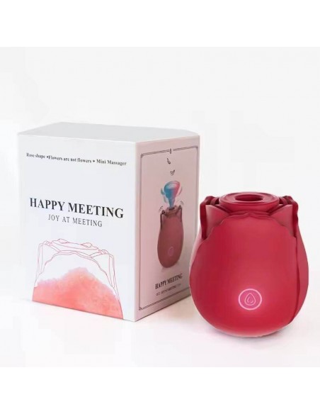 VIBRADOR MASAJEADOR FLOWERS