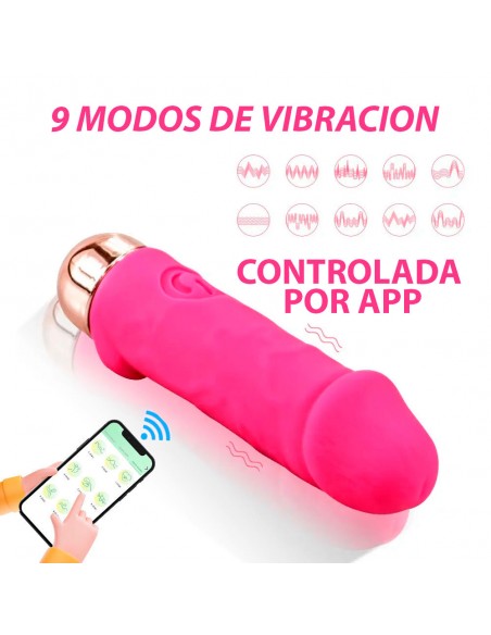 VIBRADOR MINI PENE CON APP USB